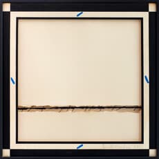 Anna Maria Maiolino, Série desenho objeto (1942)