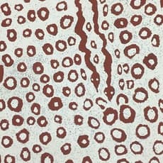 Nyurapayia Nampitjinpa