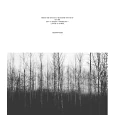 Julia Martin (Canadian)