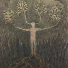 Elizabeth Shull