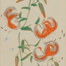 Tsuchida Bakusen