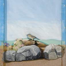 David Jacobs