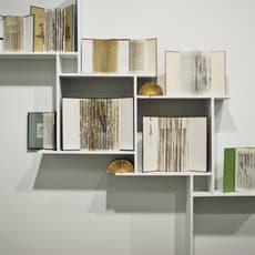 Marco Rountree