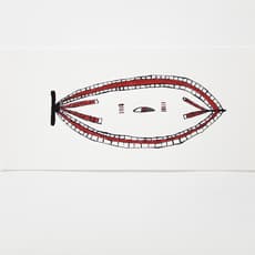 Sheroanawë Hakihiiwë