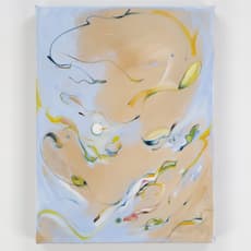 Jess Xiaoyi Han