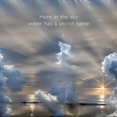 Katie Peyton Hofstadter