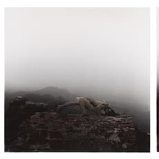 Rong Rong & inri 荣荣&映里