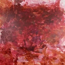 Janice Liley