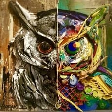 Bordalo II