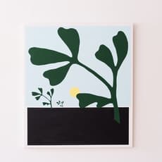 Lukas Marciulevičius