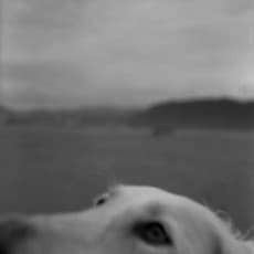 Alberto García Alix