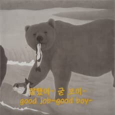 Hansol Noh