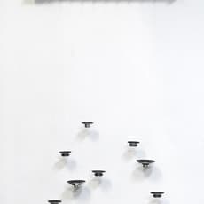 Pe Lang and Marianthi Papalexandri-Alexandri