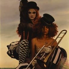 Pamela Wilson