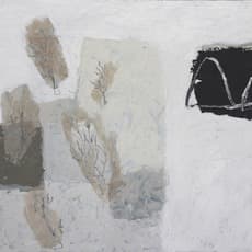 David Pearce