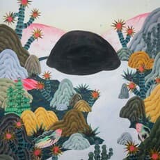 Duairak Padungvichean