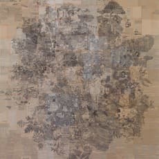 Antonis Donef
