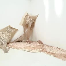 Edie Xu