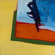 Ann Purcell