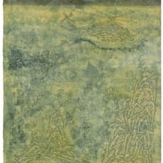 Wang Ai