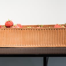 Laura Jean Forrester