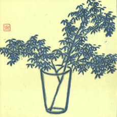 倪再沁
