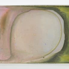 Hayley Tompkins