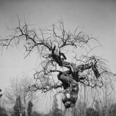 Roberto Fernández Balbuena