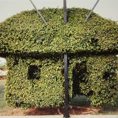 Eduardo Del Valle and Mirta Gómez