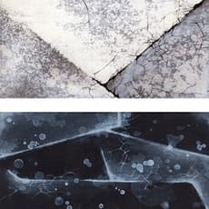 Margaret Yeung 楊國芬