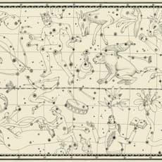 Waone Interesni Kazki