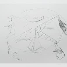 Bruce Nauman