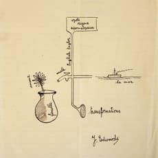 Joaquin Edwards Bello