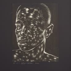 Toyin Ojih Odutola