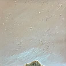 Suhyun KIM 김수현