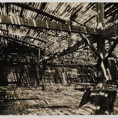 Yoho Tsuda 津田 洋甫