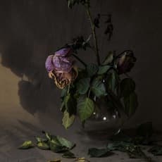 Wang Ruonan 王若男