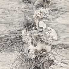 Darina Karpov