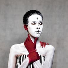 Aida Muluneh