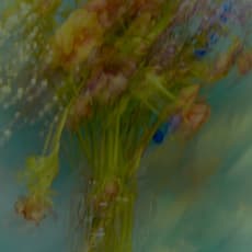 Elliot & Erick Jiménez