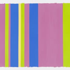 Teodoro Stein Carvalho Dias