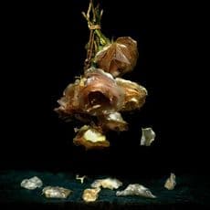 Alexander James Hamilton