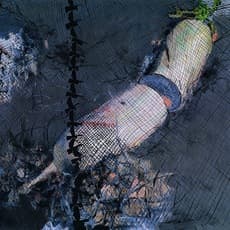 Zhang Hui 张慧 (b. 1967)