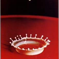 Harold Eugene Edgerton