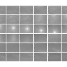 Ferran García Sevilla