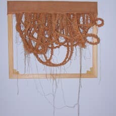 Tshepo Sizwe Phokojoe