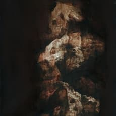 Xue Song