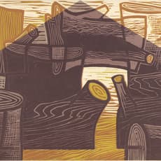 Julia Talcott