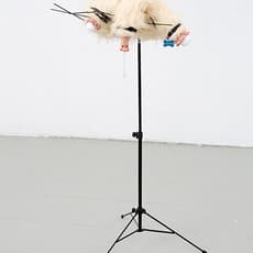 Raina Belleau