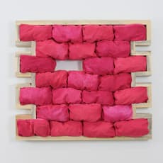 Thomas Ribas